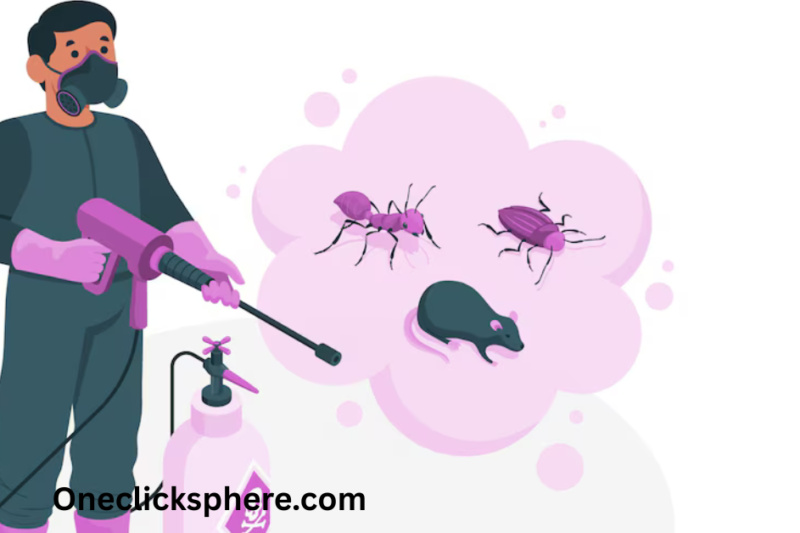 Does Bleach Kill Spiders?