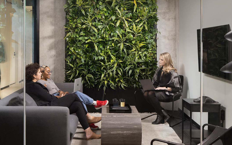 biophillic designs in office